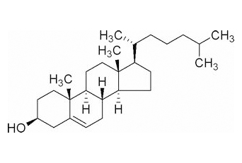 膽固醇 CAS：57-88-5 中藥對(duì)照品標(biāo)準(zhǔn)品