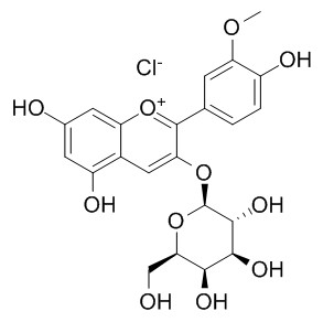 氯化芍藥素 CAS：134-01-0 中藥對照品標(biāo)準(zhǔn)品	