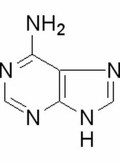 腺嘌呤 CAS：73-24-5 中藥對(duì)照品標(biāo)準(zhǔn)品