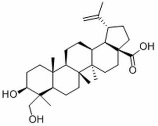 23-羥基白樺酸 CAS：85999-40-2 中藥對照品標(biāo)準(zhǔn)品