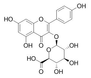 山奈酚葡萄糖醛酸苷 CAS：22688-78-4 中藥對(duì)照品標(biāo)準(zhǔn)品	