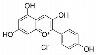 天竺葵素（氯化花葵素） CAS：134-04-3 中藥對照品標(biāo)準品	