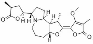 原百部堿 cas：27495-40-5