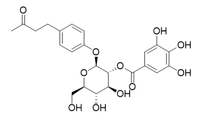 異蓮花掌苷 CAS : 87075-18-1 中藥對照品標(biāo)準(zhǔn)品