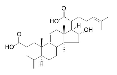 茯苓新酸B CAS: 137551-39-4 中藥對照品標(biāo)準(zhǔn)品