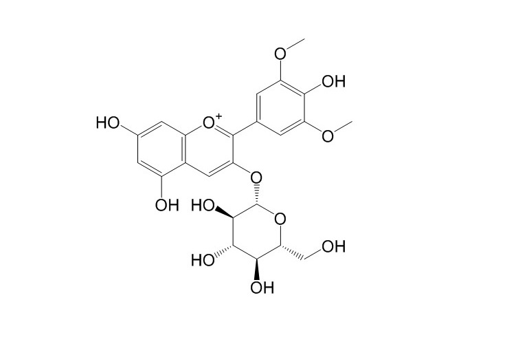 錦葵素-3-O-葡萄糖苷 CAS：18470-06-9 中藥對(duì)照品標(biāo)準(zhǔn)品