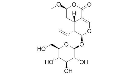 表斷馬錢子苷半縮醛內(nèi)酯CAS:118627-52-4 中藥對照品標(biāo)準(zhǔn)品