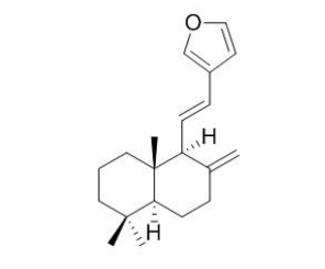 狗牙花堿E CAS：117591-81-8 中藥對照品標準品