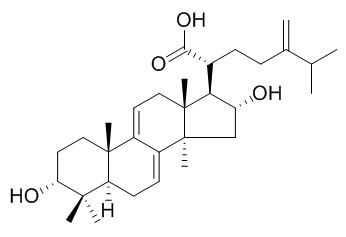 3-表去氫土莫酸 CAS號(hào)：167775-54-4 對(duì)照品標(biāo)準(zhǔn)品