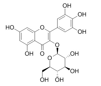 楊梅素-3-O-β-D-葡萄糖苷 CAS號：19833-12-6 對照品 標準品