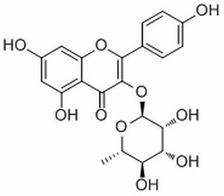 阿福豆苷 CAS:72581-71-6  中藥對照品標(biāo)準(zhǔn)品