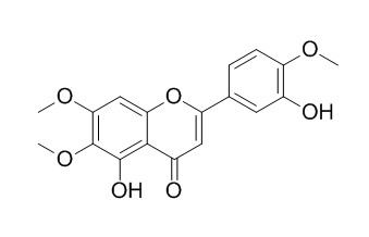 半齒澤蘭素 CAS號(hào)：855-96-9 對(duì)照品 標(biāo)準(zhǔn)品