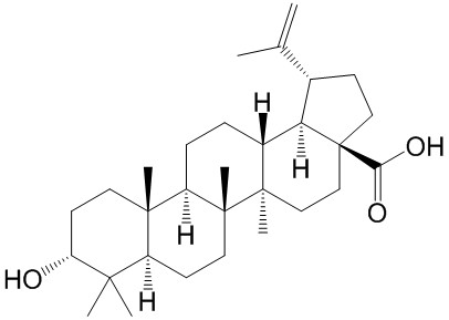 表白樺脂酸（3-表白樺脂酸） CAS號：38736-77-5 對照品 標(biāo)準(zhǔn)品