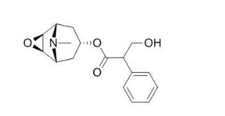 東莨菪堿 CAS號(hào)：51-34-3 中藥對(duì)照品標(biāo)準(zhǔn)品