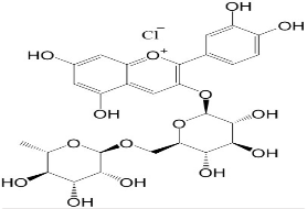 氯化矢車菊素-3-O-蕓香糖苷 CAS號(hào)： 18719-76-1 中藥對(duì)照品