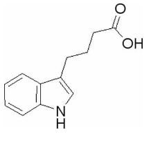 吲哚丁酸 CAS號(hào)：133-32-4 中藥對(duì)照品標(biāo)準(zhǔn)品