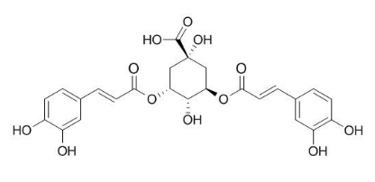 3,5-O-二咖啡?；鼘幩?CAS號：89919-62-0 中藥對照品標準品