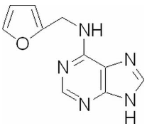  6-糠氨基嘌呤  CAS號(hào)：525-79-1 中藥對(duì)照品標(biāo)準(zhǔn)品