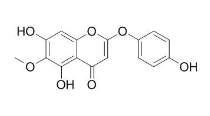 茵陳色原酮 CAS號(hào)：56365-38-9 中藥對照品標(biāo)準(zhǔn)品