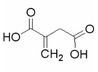  衣康酸  CAS號(hào)：97-65-4 中藥對(duì)照品標(biāo)準(zhǔn)品