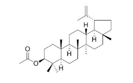 乙酰羽扇豆醇酯 CAS號(hào)：1617-68-1 中藥對(duì)照品標(biāo)準(zhǔn)品