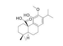 鼠尾草酸-12-甲醚 CAS號(hào)：62201-71-2 中藥對(duì)照品標(biāo)準(zhǔn)品