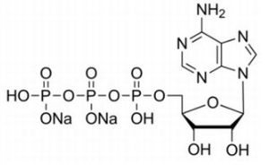 5-腺苷三磷酸二鈉鹽 CAS號(hào)：987-65-5  中藥對(duì)照品標(biāo)準(zhǔn)品