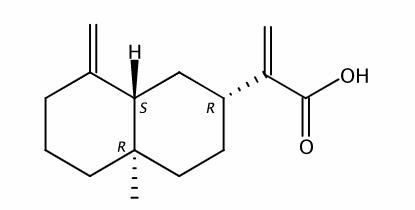 beta-木香酸 CAS號：3650-43-9 中藥對照品標(biāo)準(zhǔn)品