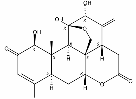 臭椿酮 CAS號：981-15-7 中藥對照品標(biāo)準(zhǔn)品