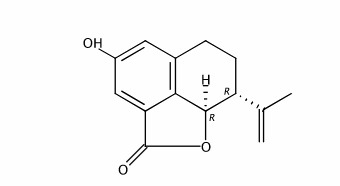 2-Hydroxyplatyphyllide CAS號(hào)：72145-19-8 中藥對照品標(biāo)準(zhǔn)品