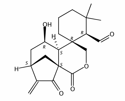 毛果香茶菜醛A CAS號：85329-59-5 中藥對照品標(biāo)準(zhǔn)品