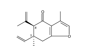 表莪術(shù)呋喃烯酮 CAS號：20085-85-2 中藥對照品標準品