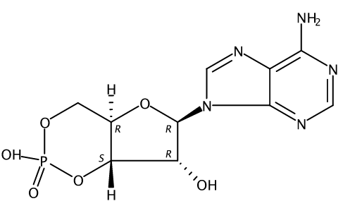 環(huán)磷腺苷CAS號(hào)：60-92-4 中藥對(duì)照品標(biāo)準(zhǔn)品