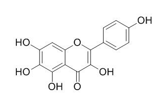 6-羥基山奈酚 CAS號(hào)：4324-55-4 中藥標(biāo)準(zhǔn)品對(duì)照品