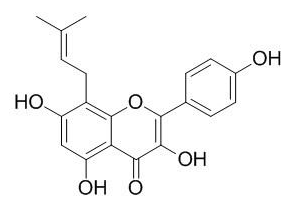 8-異戊烯基山柰酚 CAS號(hào)：28610-31-3 中藥對(duì)照品標(biāo)準(zhǔn)品