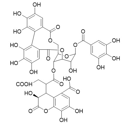 新訶黎勒酸 CAS號(hào)：28196-46-5 中藥對(duì)照品標(biāo)準(zhǔn)品