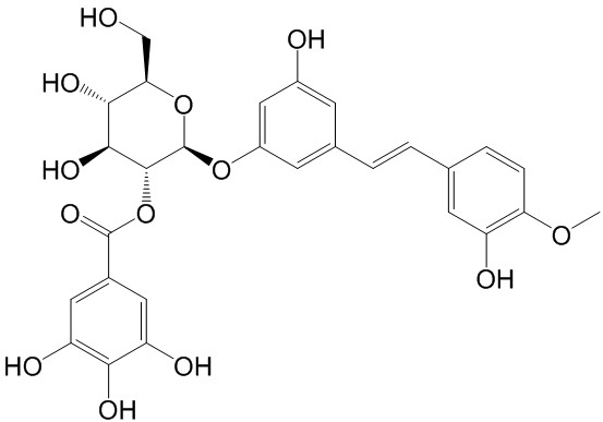  Rhaponticin 2''-O-gallate CAS號：94356-24-8 中藥對照品標準品