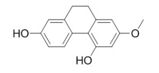 Lusianthridin  CAS號(hào)：87530-30-1  中藥對(duì)照品標(biāo)準(zhǔn)品