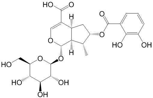 烏奴龍膽苷D  CAS號(hào)： 157722-21-9 中藥對(duì)照品標(biāo)準(zhǔn)品