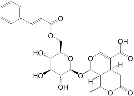 6'-O-肉桂?；?8-表金吉甘酸 CAS號(hào)：1403984-03-1 中藥對(duì)照品