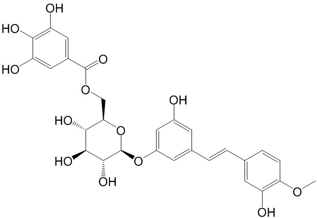 Rhaponticin 6''-O-gallate  CAS號： 94356-23-7 中藥對照品標(biāo)準(zhǔn)品