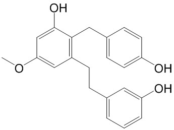 Isoarundinin II  CAS號： 151538-56-6 中藥對照品標(biāo)準(zhǔn)品