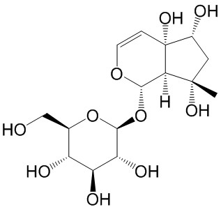  哈巴苷  CAS號： 6926-08-5 中藥對照品標(biāo)準(zhǔn)品