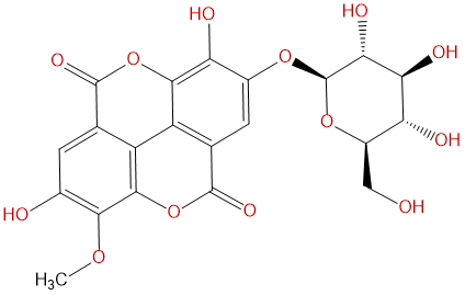 Stachyanthuside A CAS號：864779-30-6 中藥對照品標(biāo)準品