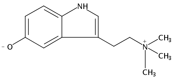 蟾蜍特尼定 CAS號(hào)：487-91-2 中藥對(duì)照品標(biāo)準(zhǔn)品