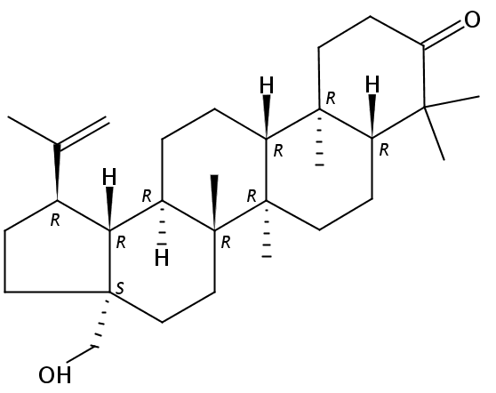 Betulone  CAS號(hào)：7020-34-0 中藥對(duì)照品標(biāo)準(zhǔn)品