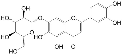 6-羥基木犀草苷 CAS：54300-65-1中藥對(duì)照品標(biāo)準(zhǔn)品