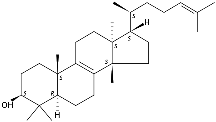 表大戟二烯醇  CAS：514-46-5 中藥對照品標(biāo)準(zhǔn)品