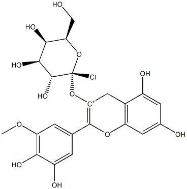 矮牽牛素-3-O-半乳糖苷 CAS：28500-02-9 中藥對照品標(biāo)準(zhǔn)品