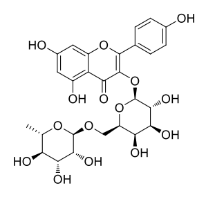 山柰酚-3-O-β-刺槐雙糖苷 | CAS No.17297-56-2